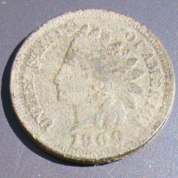 A-Beautiful-Indian-Head-Cent-In-The-Woods